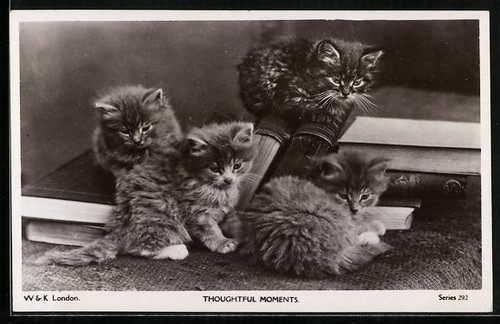 Thoughtful moments - thoughtful,
