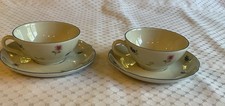 Seltmann Weiden Marie Luise Streublume blauer Rand 2 x Teetasse / Untertasse