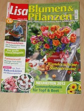 LISA Blumen & Pflanzen Februar