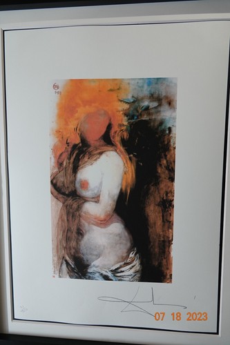 Salvador dali lithographie - salvador,