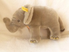 Elefant trampili von - elefant,