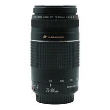 Objektiv Zoom Canon EF