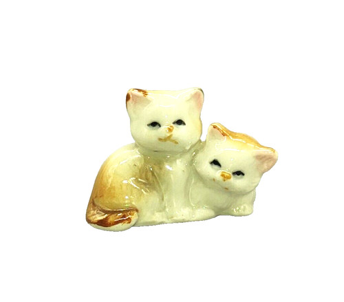 Katze kätzchen - katze,