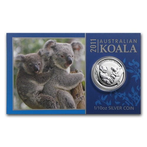 Australian koala 2011 - koala,
