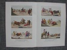 Spanischer Stierkampf im 18