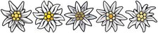 5x Edelweiss Aufkleber 8x8cm