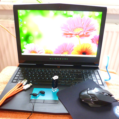 Alienware 17zoll l 32gb - 17,