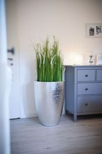 Pflanzkübel Pflanzgefäß