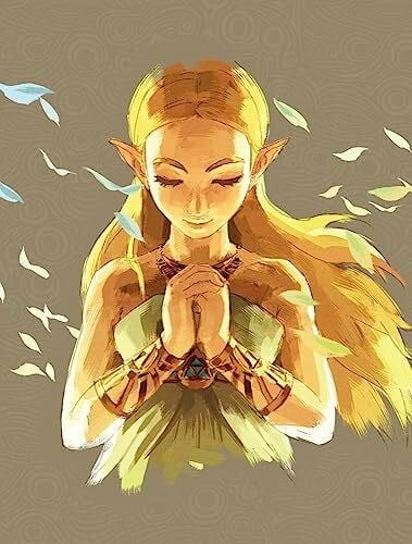 Legend zelda breath - of, of
