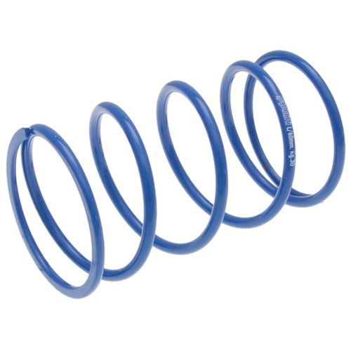 Wandler gegendruckfeder polini - wandler,