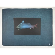 PAUL WUNDERLICH Originallithographie "BLAUER FISCH"