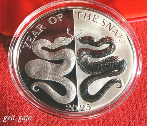 Silbermünze mirror snake - mirror,