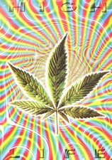 CANNABIS MARIJUANA GRASS MARY