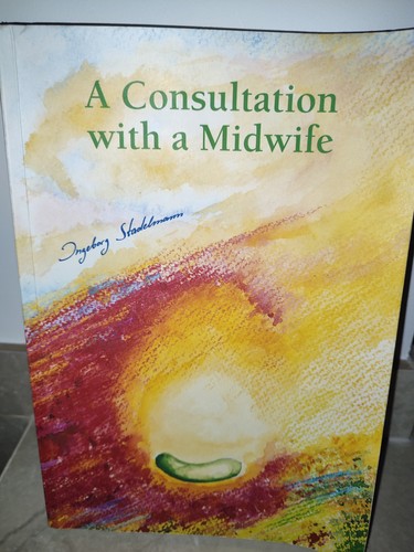 Consultation with midwife - consultation, a