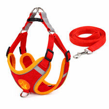 Hunde Geschirr mit Leine