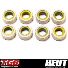 Variomatikrollen 17 G TGB