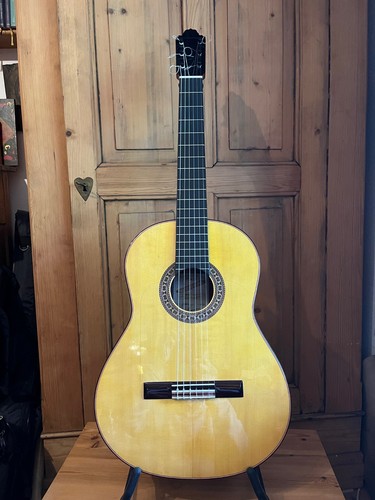 Flamenco gitarre mit - flamenco,