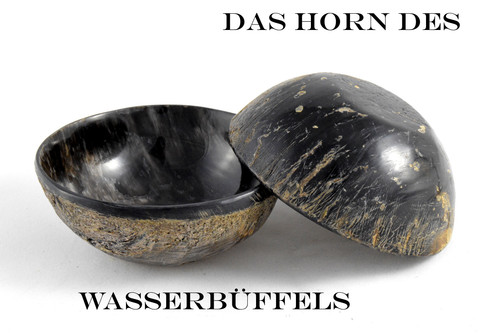 Echtes horn dittmar - echtes,