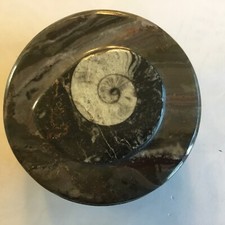Ammonit Fossil Dose aus Jura Marmor braun mit Deckel  ca. Ø 9x4,5 Cm Höhe