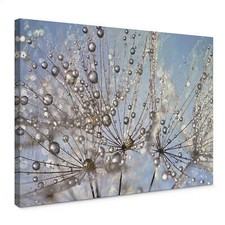 Leinwandbild Delgado -