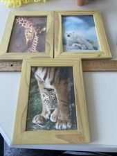 2 Holz-Bilder-Rahmen mit Tierbildern "Giraffe, Eisbär, Tiger", gebraucht