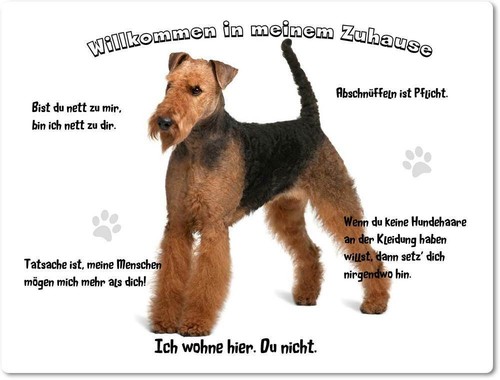 Warnschild 20x30cm - warnschild,