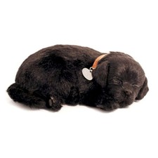 Perfect Petzzz 96323 Labrador