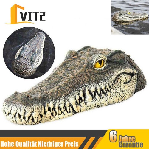 Krokodil schwimmtier teich - krokodil,