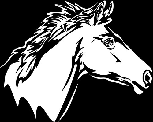 Aufkleber pferd pferdekopf - pferd,