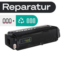 E-Bike Akku Reparatur Giant