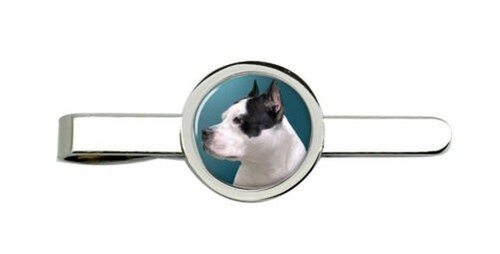 Amerikanisch pit bulle terrier - amerikanisch,