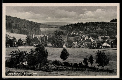 Ansichtskarte buntenbock - buntenbock, im