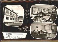 Rheinzabern Hotel Goldenes