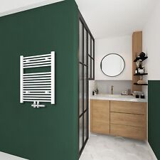 Badheizkörper Badheizung Oval Gerade heizkörper Handtuchwärmer Weiß  NEU