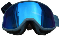 Skibrille Salomon Four Seven