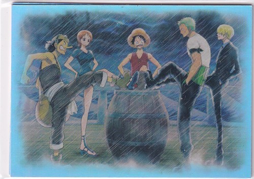 Panini one piece - piece, 25th