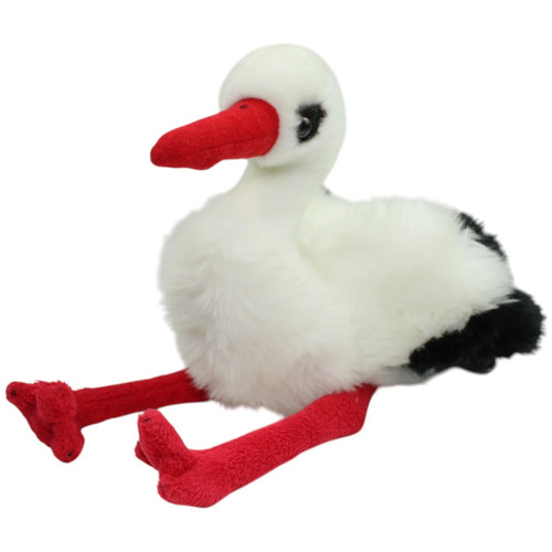Nature planet vogel - planet,