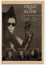 Dead Or Alive Sophisticated