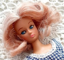 Barbie Puppe Petra Clone