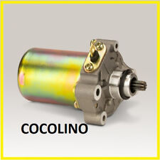 Kart Rennkart Kartsport Motor