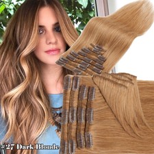 Clip in HUMAN Extensions 100%