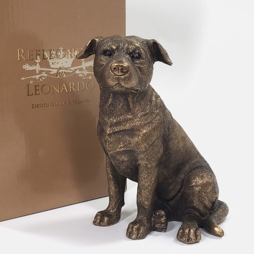Staffordshire bullterrier - staffordshire,