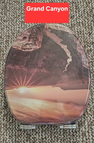 Brille grand canyon motiv - wc-brille,