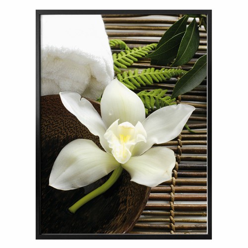 Poster wellness orchidee - wellness,