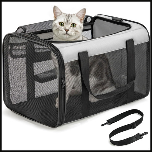 Katzentransportbox faltbar