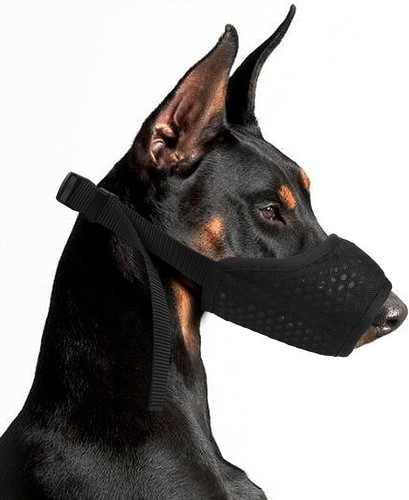 Maulkorb für hunde - maulkorb,