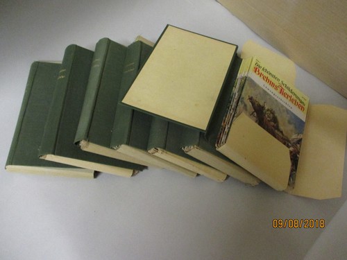 Die schönsten schilderungen - schönsten,