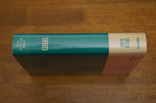 Commentary ezekiel john - on,