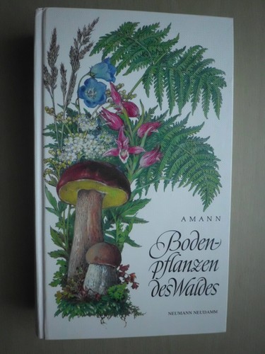 Bodenpflanzen des waldes - bodenpflanzen,