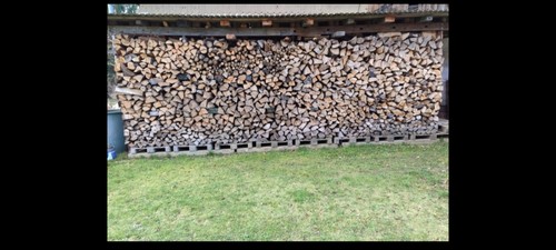 Brennholz ofenholz - brennholz,
